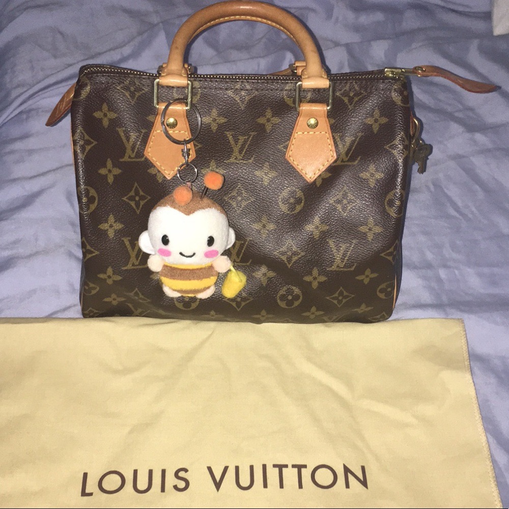 Louis Vuitton Speedy Bag Vintage Monogram